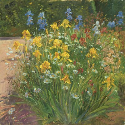 Oxeye Daisies Against the Irises by Timothy Easton
